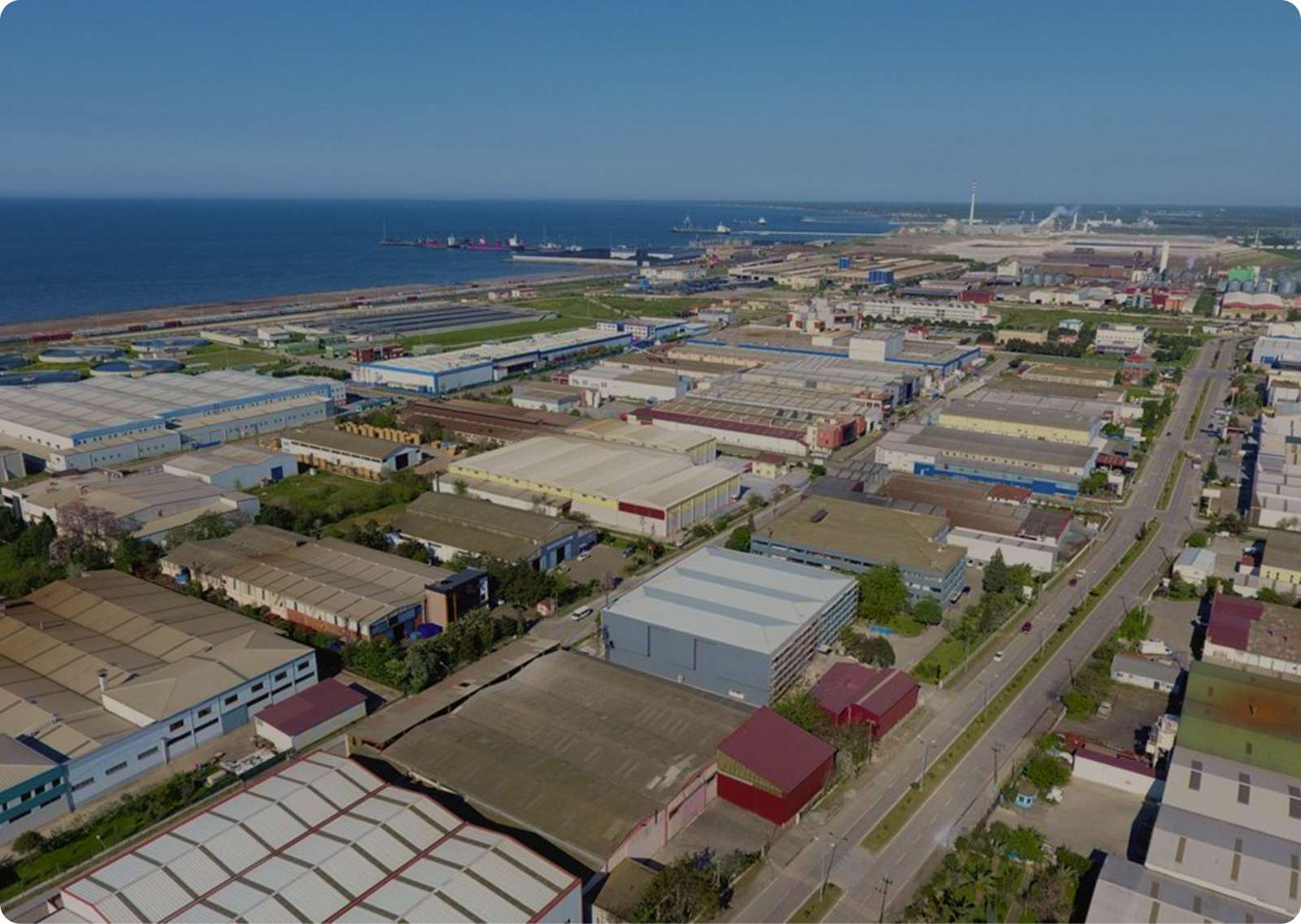 Tekkeköy Web Tasarım